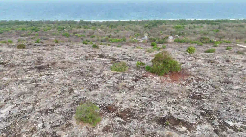 Strategic 6,421 m² Freehold Land with State Land Zoning Security – Kuta, East Sumba