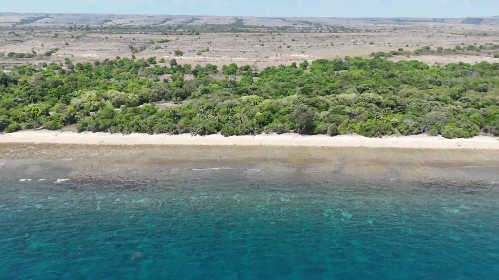 2 Hectares of Freehold (SHM) Land for Sale in Kadahang, East Sumba – Yellow Zone with Road Access