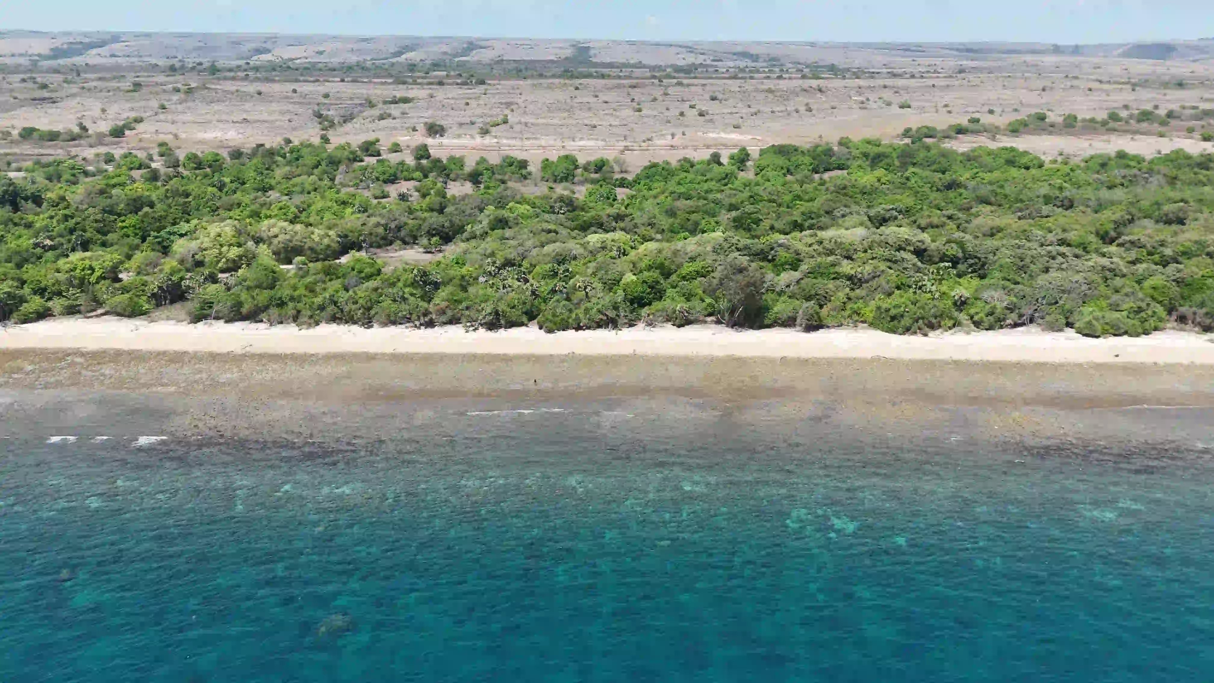 Tanah 2 Hektar Di Jual di Desa Kadahang, kec.Hahar, Kab.Sumba timur | Investlandsumba.com