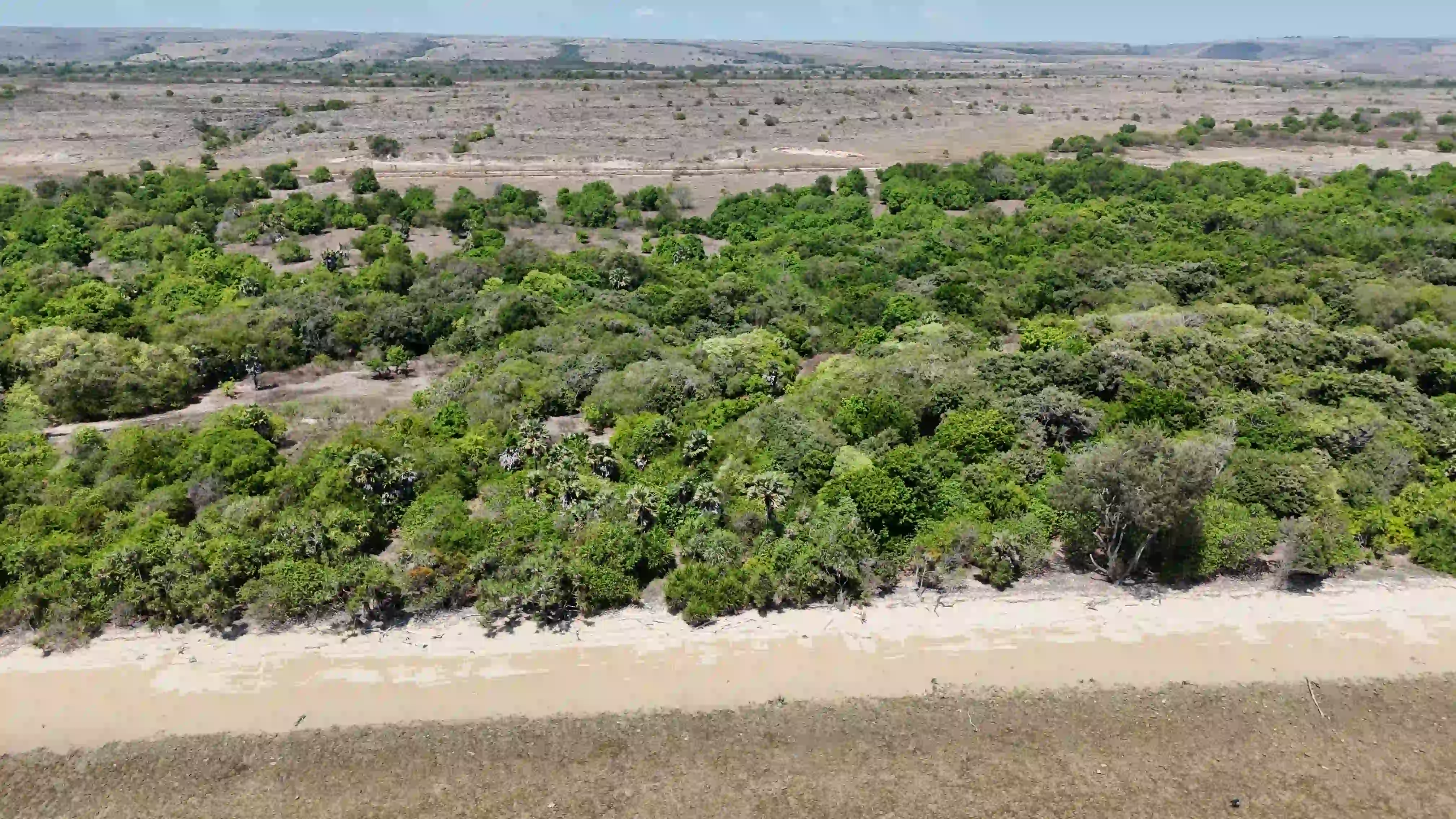 Tanah 2 Hektar Di Jual di Desa Kadahang, kec.Hahar, Kab.Sumba timur | Investlandsumba.com