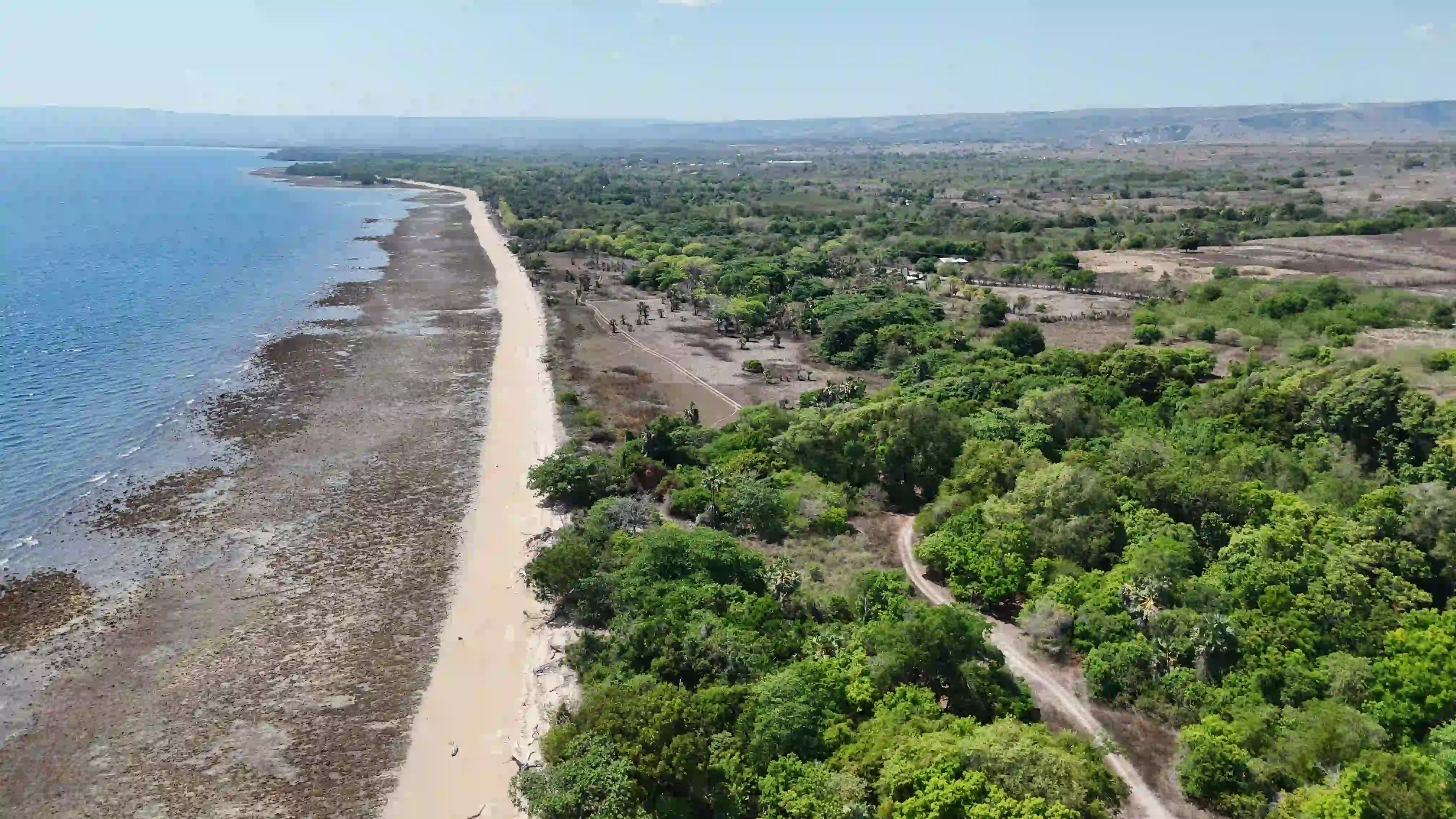 Tanah 2 Hektar Di Jual di Desa Kadahang, kec.Hahar, Kab.Sumba timur | Investlandsumba.com