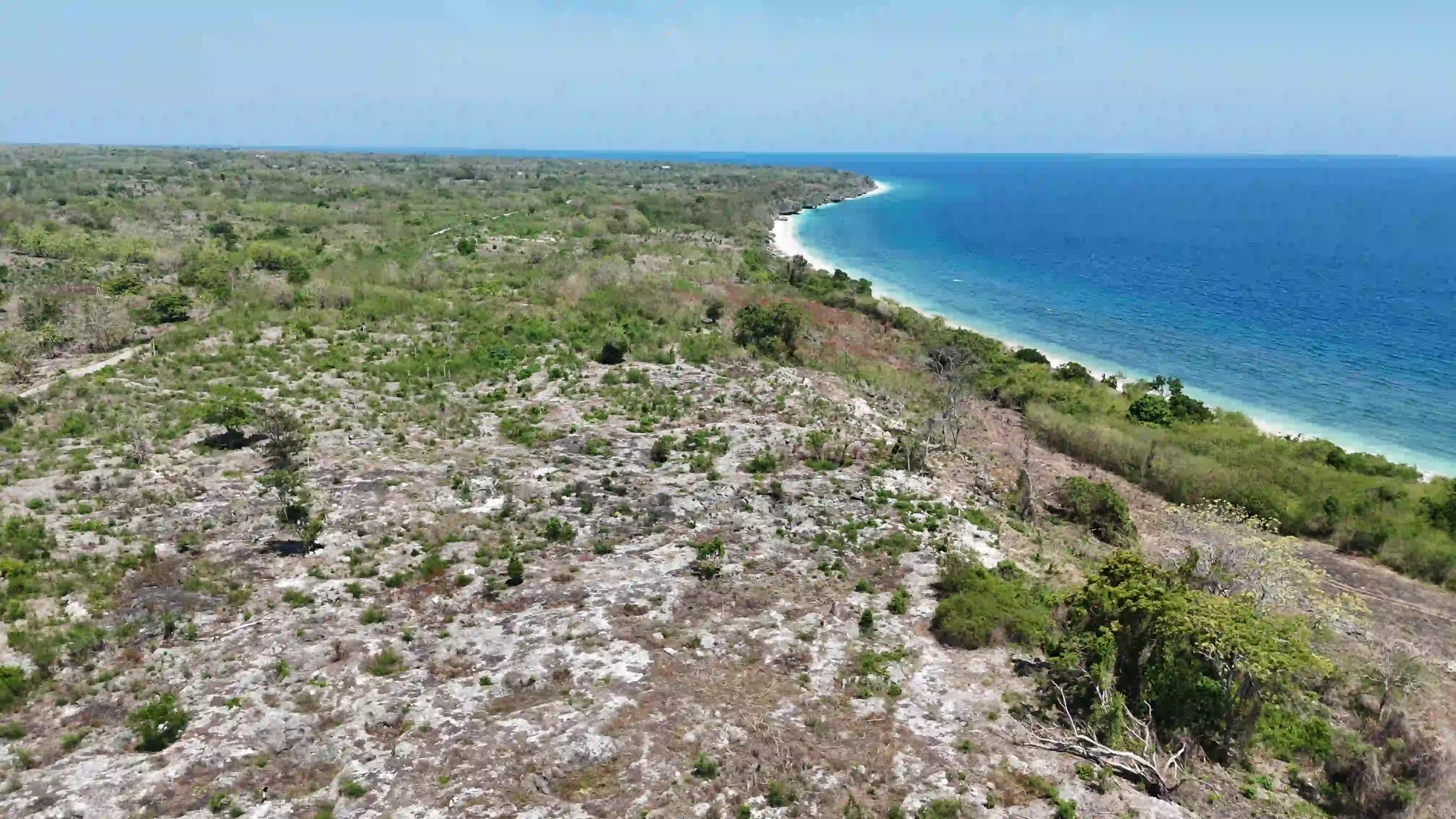 24 Ha Freeshold Desa Waee Londa | Investlandsumba