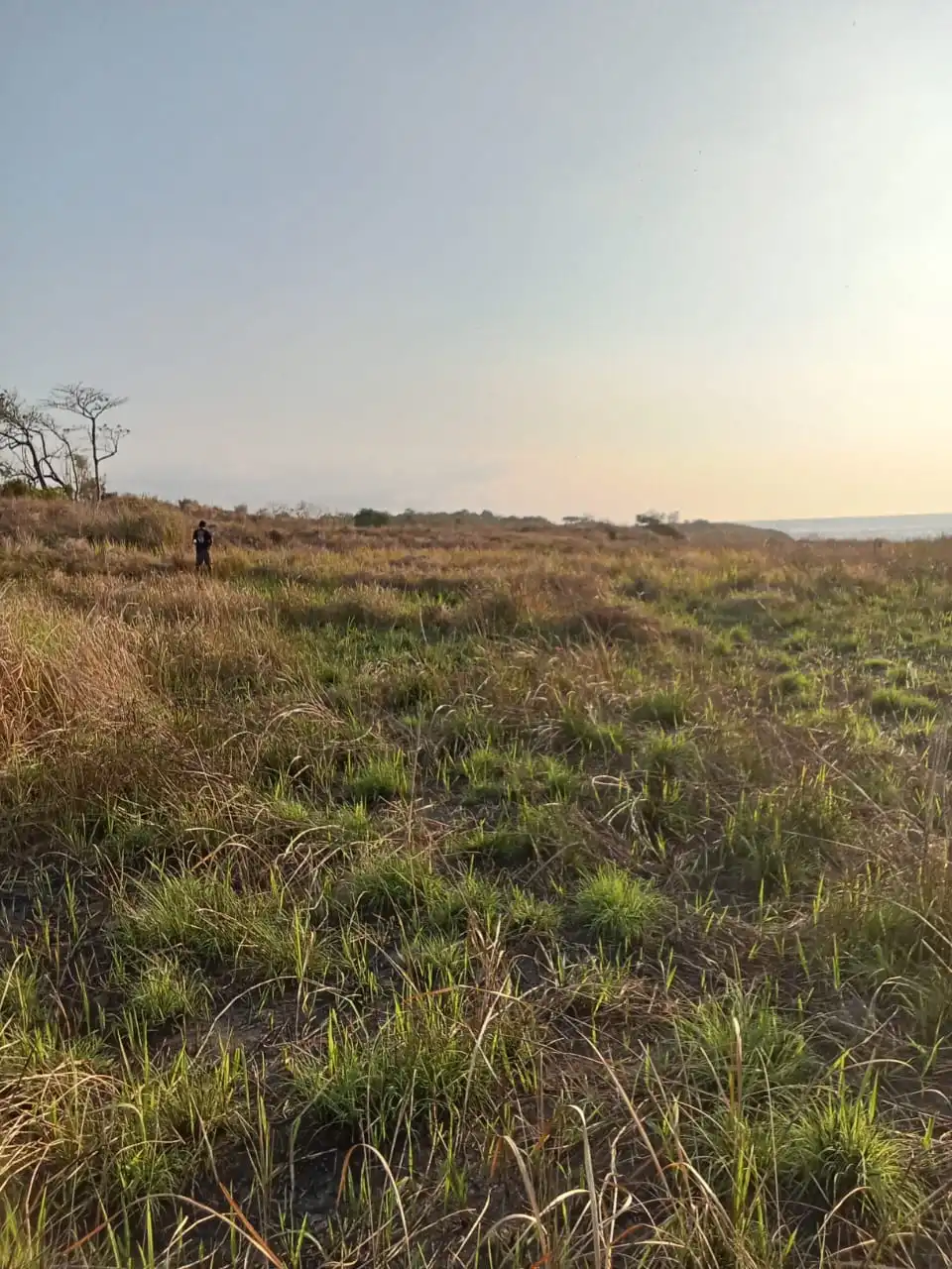 Desa Kendu Wela Kec Kodi | Invest Land Sumba