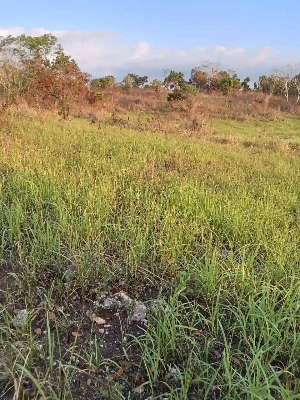 Desa Kendu Wela Kec Kodi | Invest Land Sumba