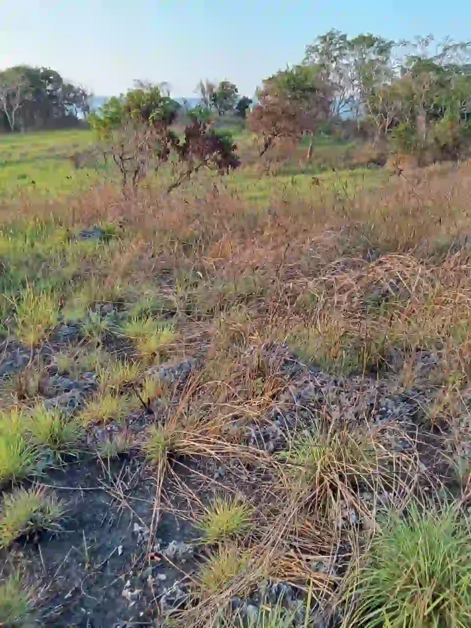 Desa Kendu Wela Kec Kodi | Invest Land Sumba