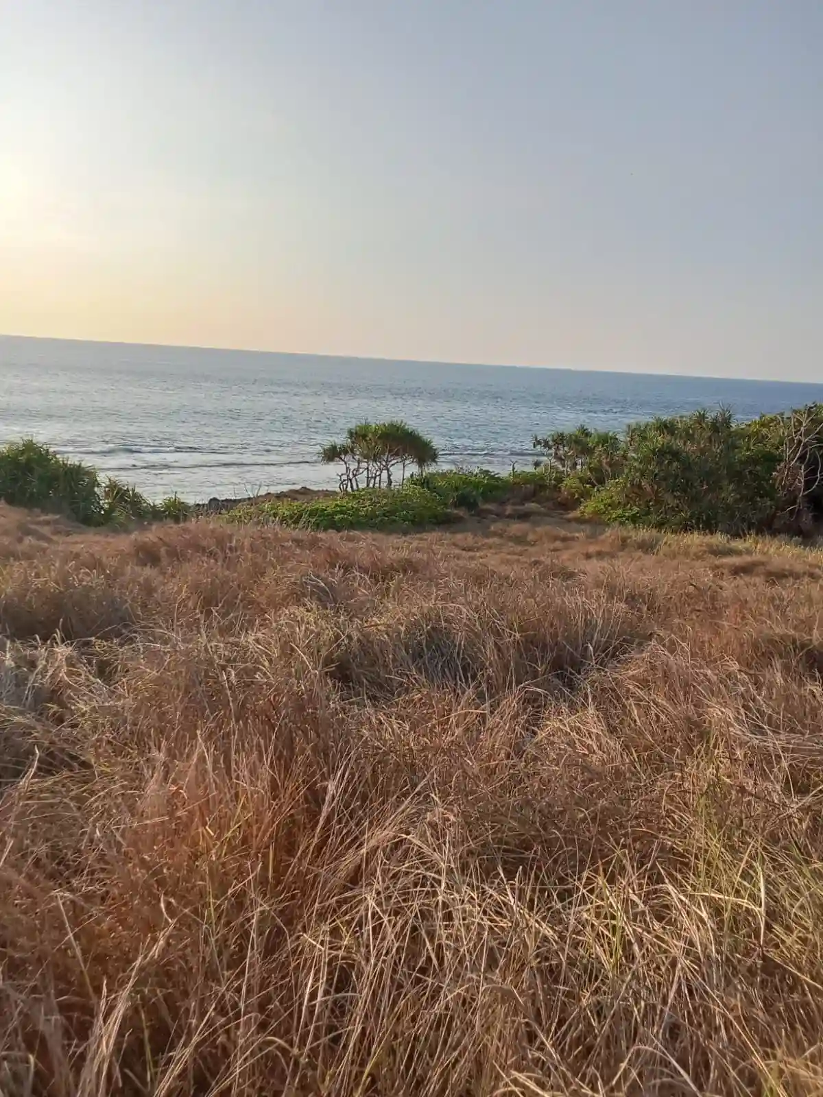 Desa Kendu Wela Kec Kodi | Invest Land Sumba