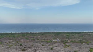 21,741 m² (3 Parcels) Freehold Land Package in Luku Arung – Kuta, East Sumba