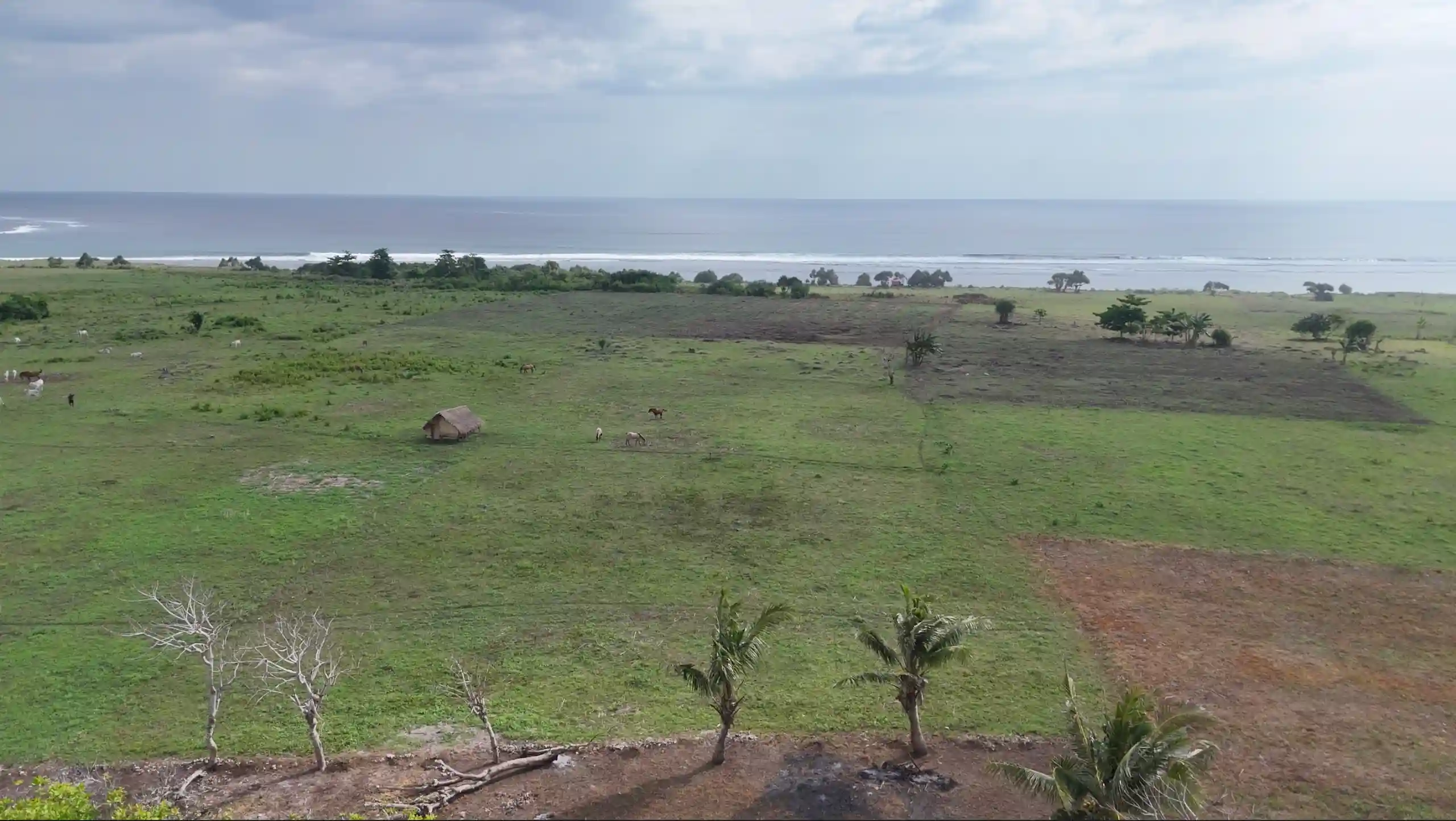 Pero Batang, Bondo Kodi, Southwest Sumba | Invest Land Sumba