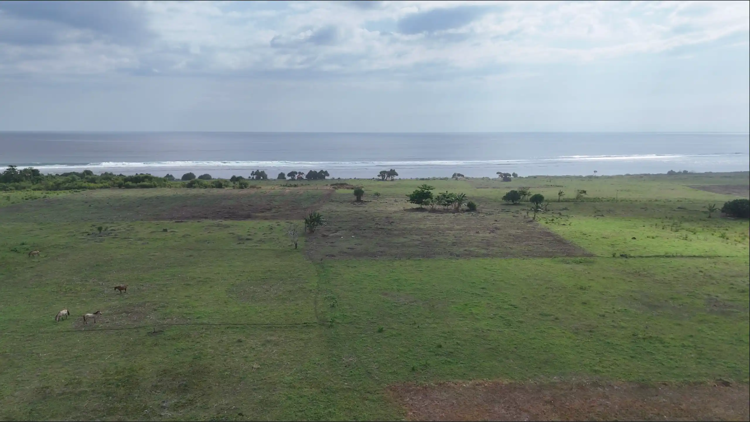 Pero Batang, Bondo Kodi, Southwest Sumba | Invest Land Sumba