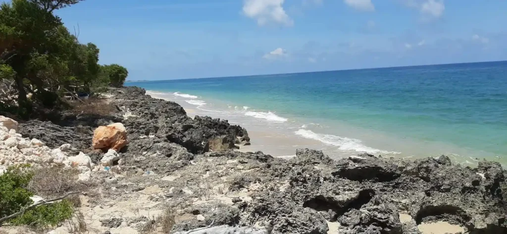 7 HA Strategic Land Parcel in Lambakara, East Sumba Regency, NTT