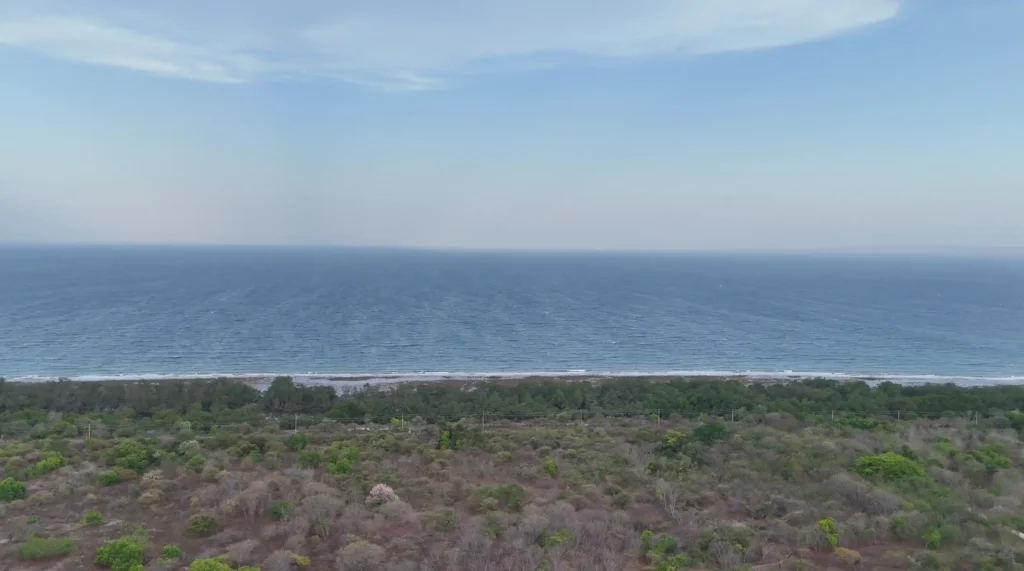 Prime 9,925 m² Freehold Land with Exceptional 3-Way Access – Kuta, East Sumba