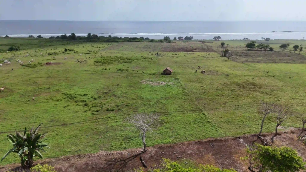 2 Hectare Freehold Coastal Land – Pero Batang, Bondo Kodi, Southwest Sumba