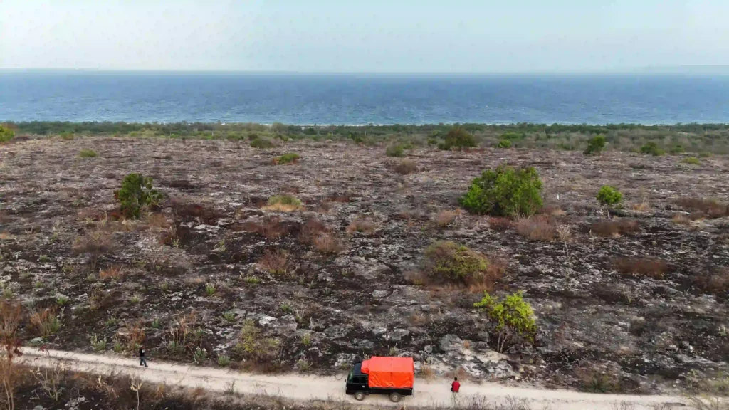 Affordable 5,395 m² Freehold Land Ready for Development – Kuta, East Sumba