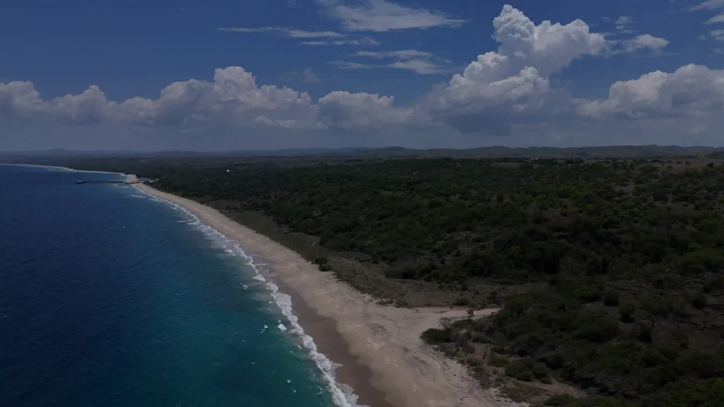 Massive 100 Hectare Freehold (SHM) Land for Major Development in Kapulit, Sumba