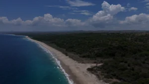 Massive 100 Hectare Freehold (SHM) Land for Major Development in Kapulit, Sumba