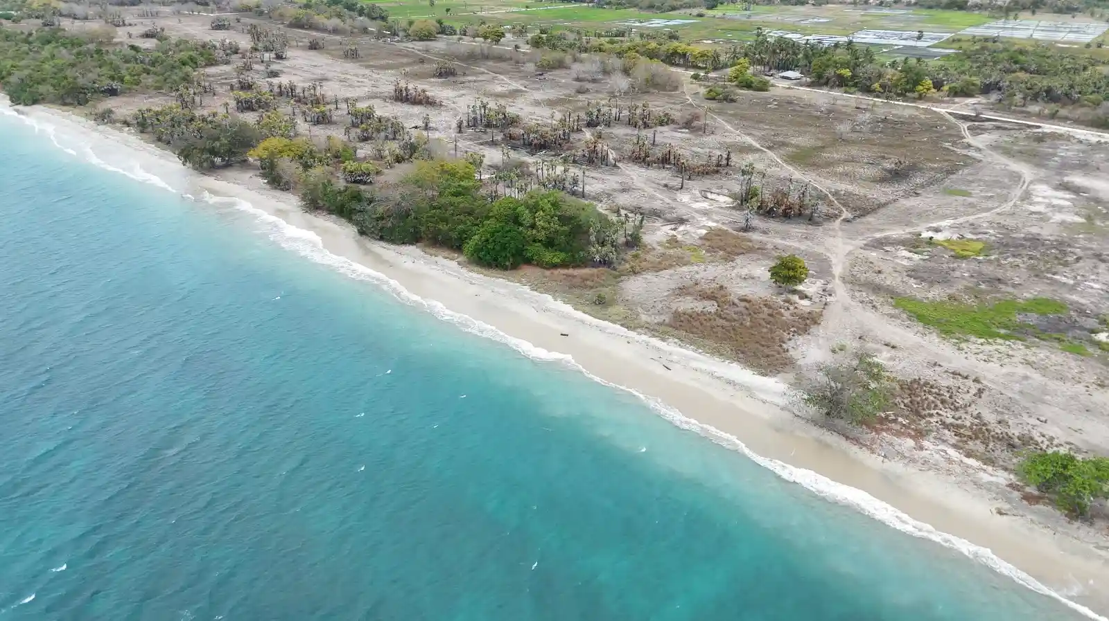 Desa Kadumbu 19ha | Investlandsumba