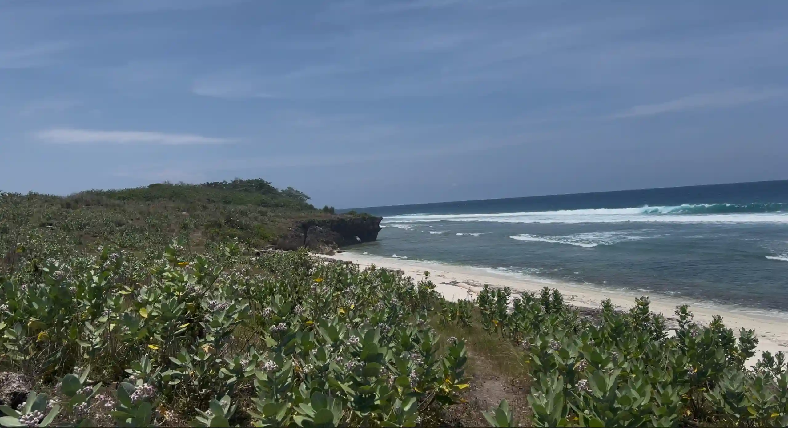 Desa Kendu Wela Tanah 2 HA | Invest Land Sumba