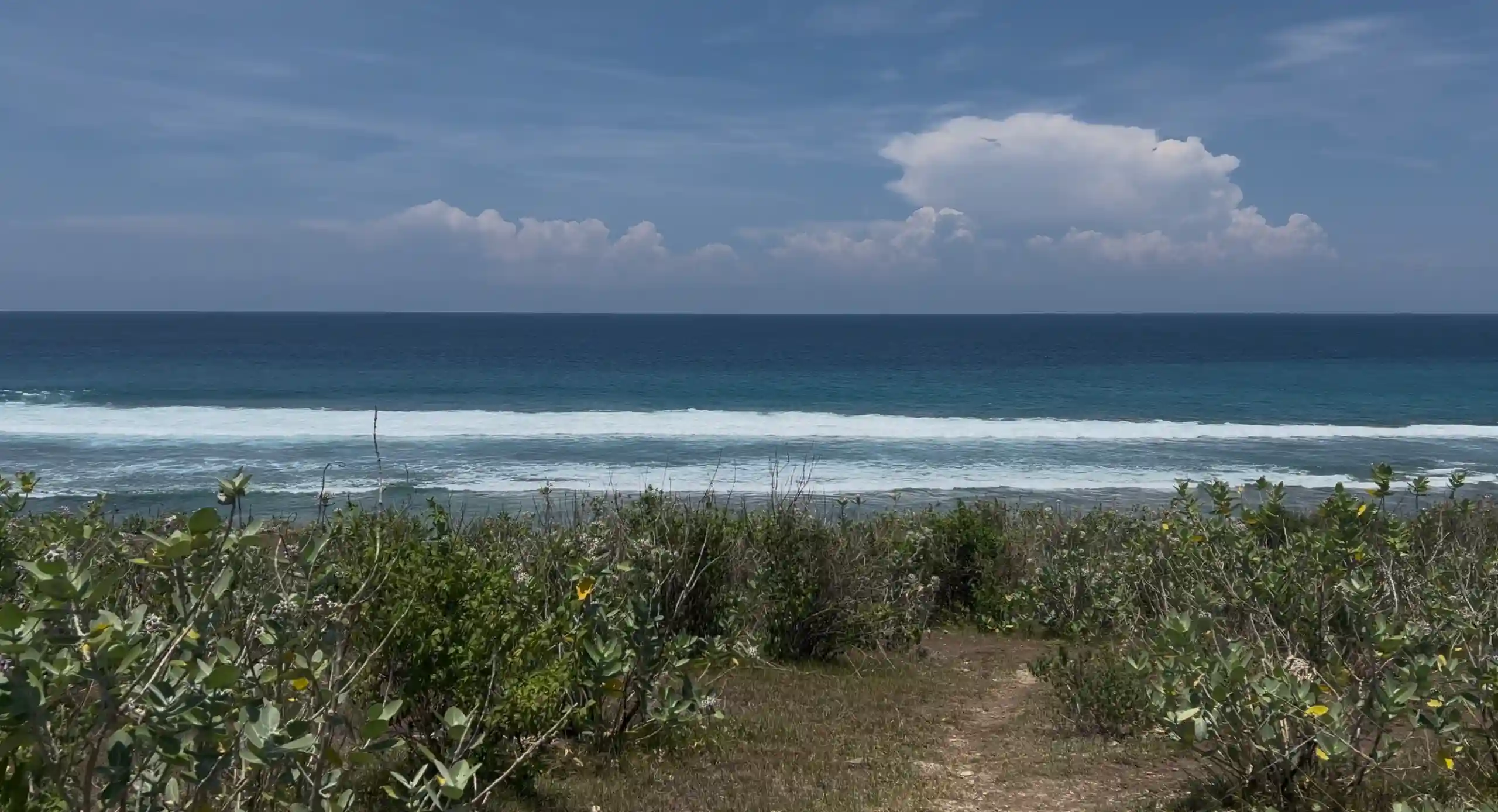 Desa Kendu Wela Tanah 2 HA | Invest Land Sumba