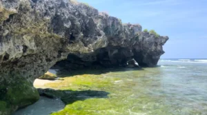 Coastal Freehold Land (SHM) in Kendu Wela, Sumba Barat Daya – 20,003 M²