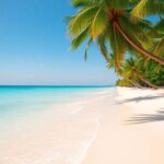 Prime Sumba beachfront land with turquoise water and palm trees.