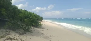 Freehold ~1 Ha Beachside Land for Sale – Pantai Tosi, Kodi, Southwest Sumba (NTT)