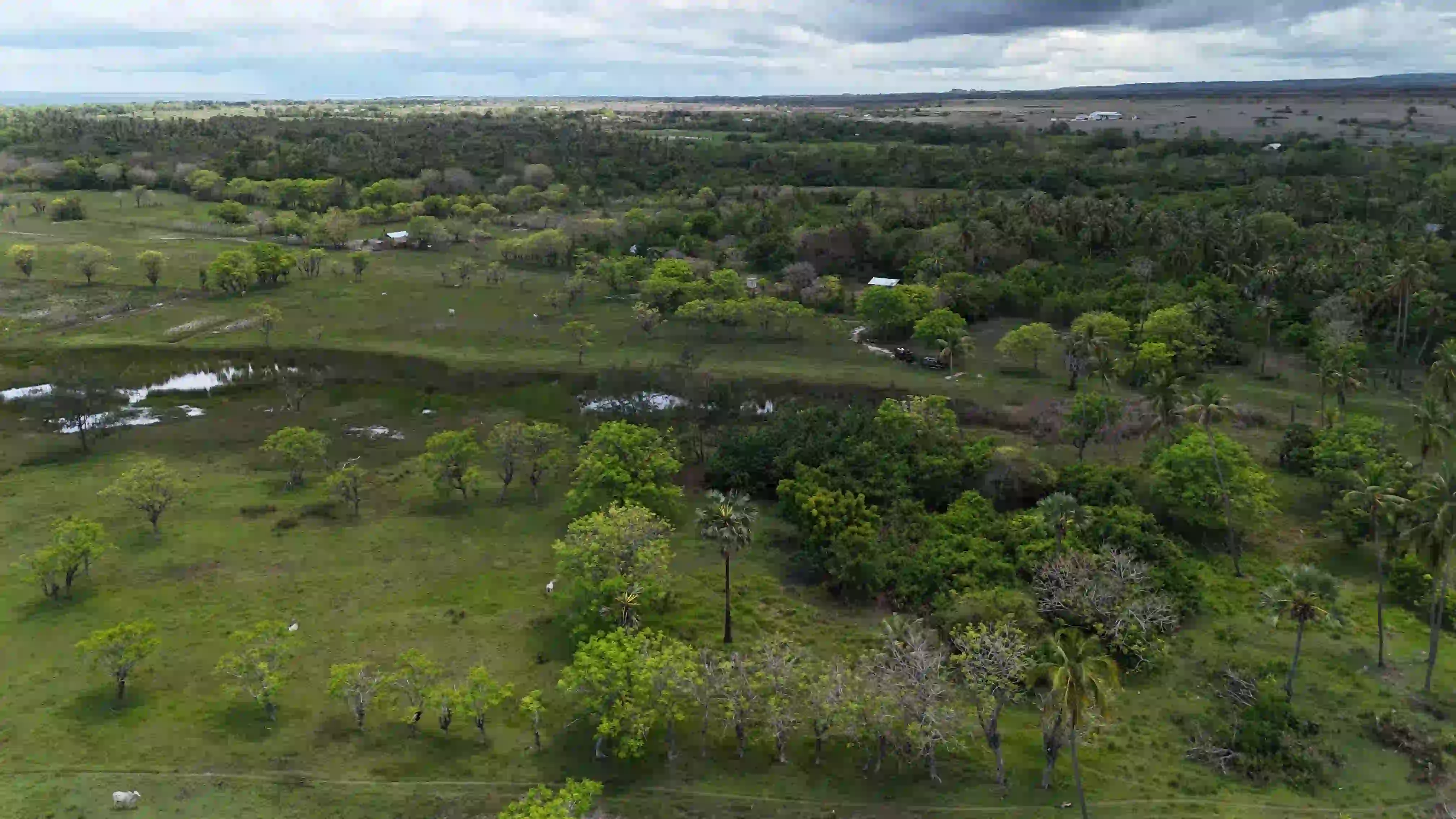 Kadumbu 2 East Sumba | Investland Sumba | Freehold Land SHM 1.45 Ha for Sale in Sumba Timur