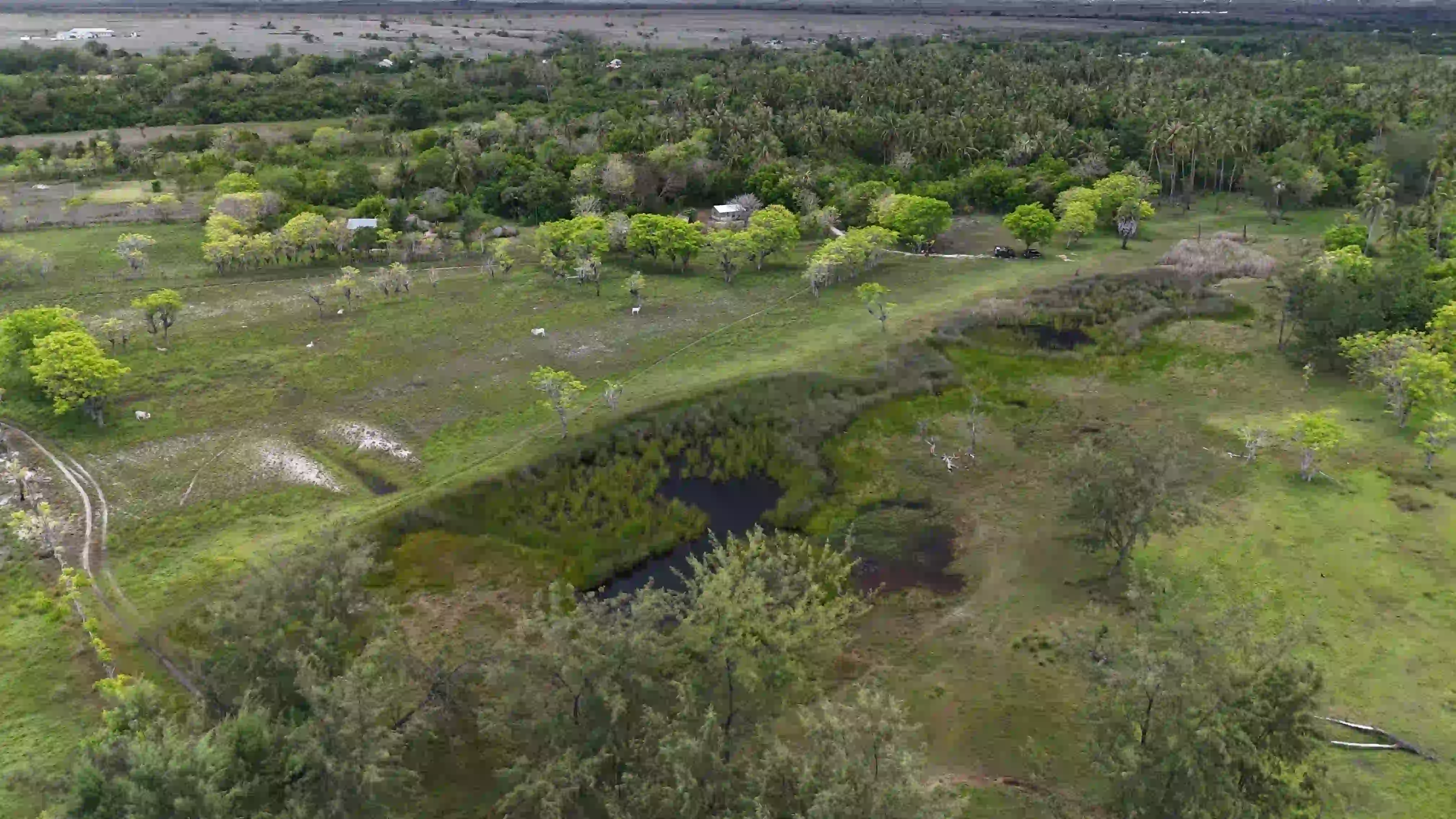 Kadumbu 2 East Sumba | Investland Sumba | Freehold Land SHM 1.45 Ha for Sale in Sumba Timur