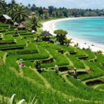 Lush rice terraces and tropical beaches in Indonesia.