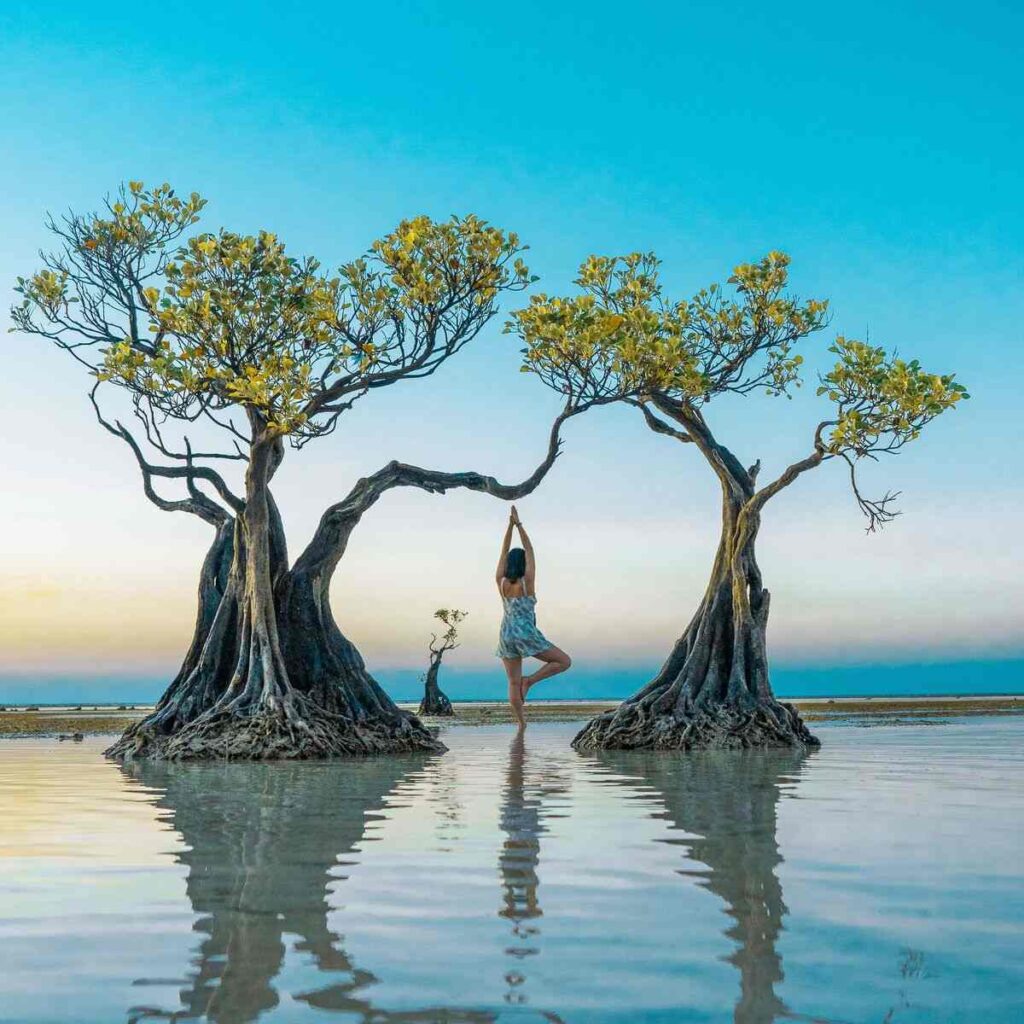 Is Investlandsumba Safe for Solo Travelers in 2027? Top Safety Tips and Real Risks